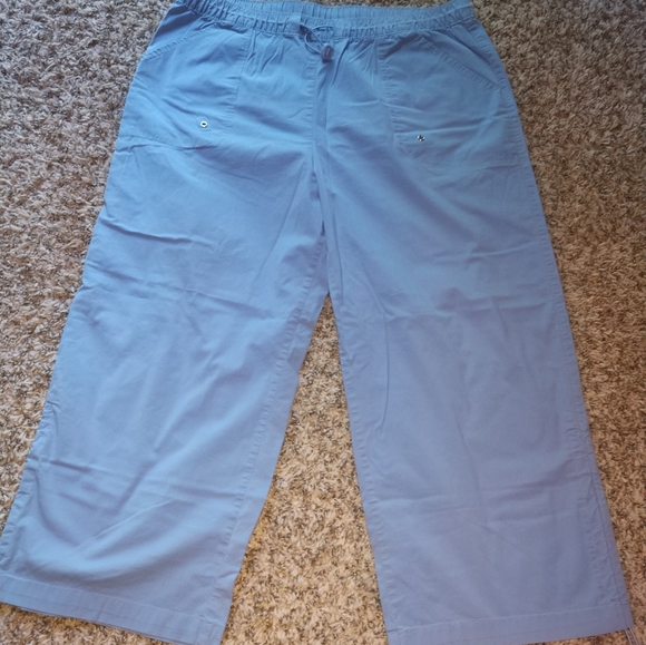 Danskin Now Capri pant Sz Lg - Picture 1 of 11